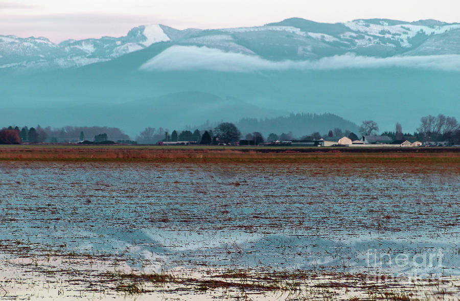 Bow Washington Wetlands Farm Photograph by Sea Change Vibes