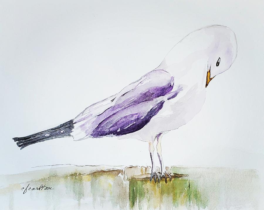 Bowing Gull Painting by Claudette Carlton
