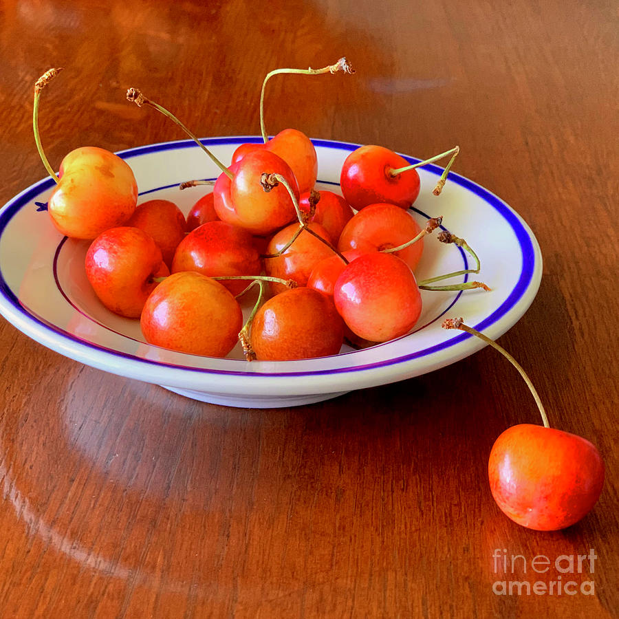 Bowl of Cherries Photograph by AnnaJo Vahle