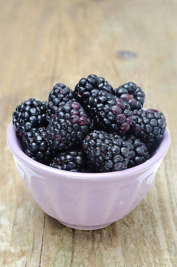 Bowl Of Fresh Blackberries On A Wooden Background Photograph by Yulia_Davidovich