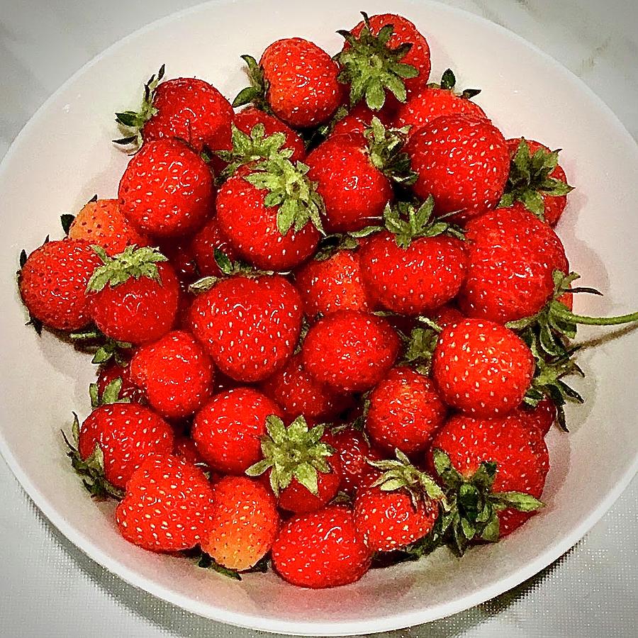 Bowl of Freshly Picked Garden Strawberries  Photograph by Gordon James