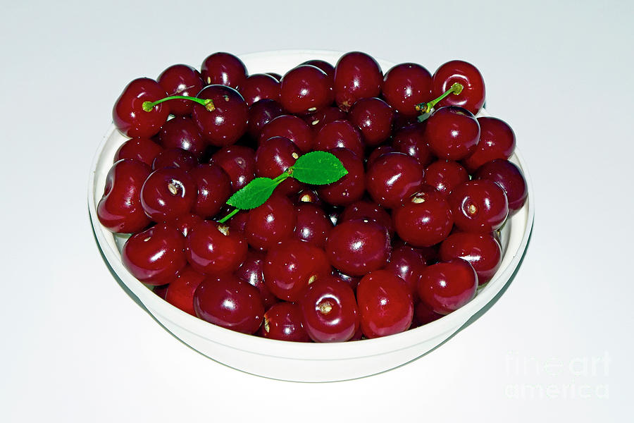 Bowlful Of Cherries Photograph
