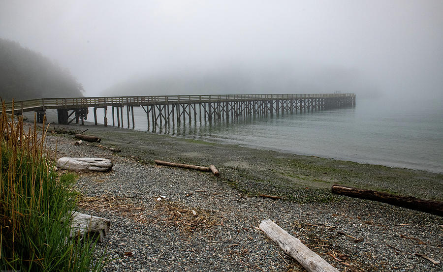 Bowman Bay Pier in Fog Photograph by Tom Cochran