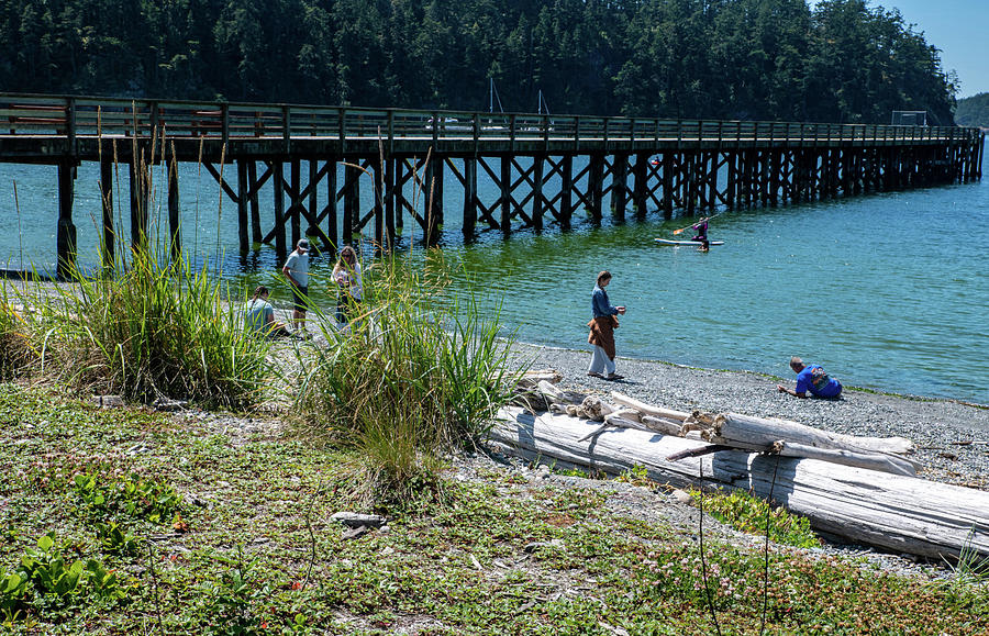 Bowman Bay Pier with Driftwood Photograph by Tom Cochran