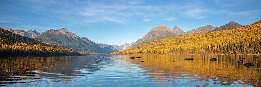 Bowman Lake Autumn Panoramic Photograph by Jack Bell