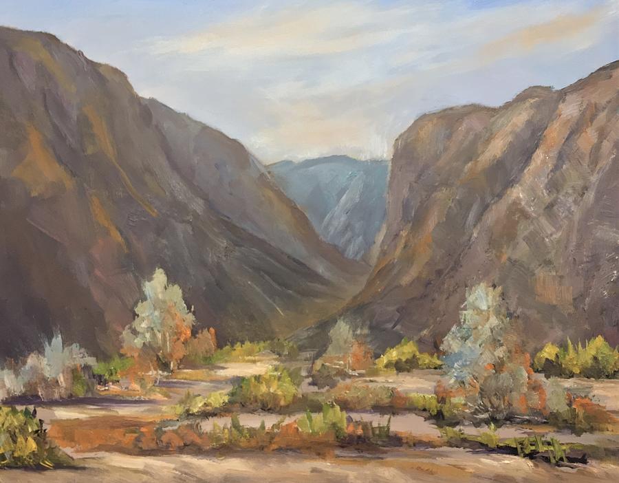 Mountain Painting - Box Canyon Mecca by Marilyn Froggatt