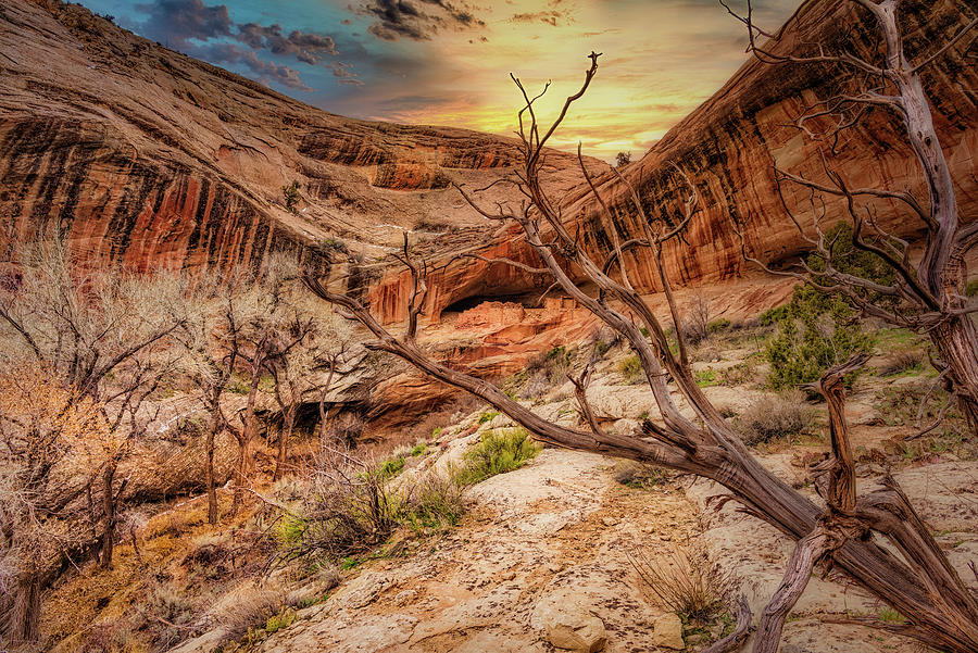 Box Canyon Ruins Photograph by Medicine Tree Studios