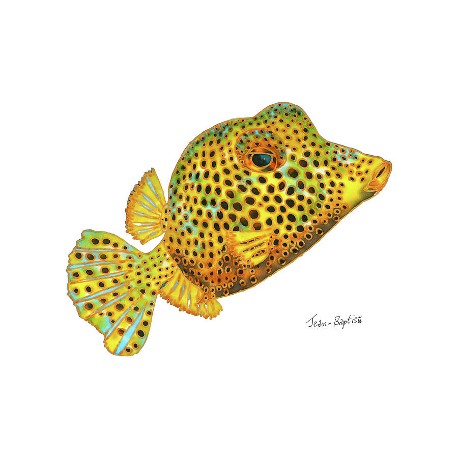 Box fish Painting by Daniel Jean-Baptiste
