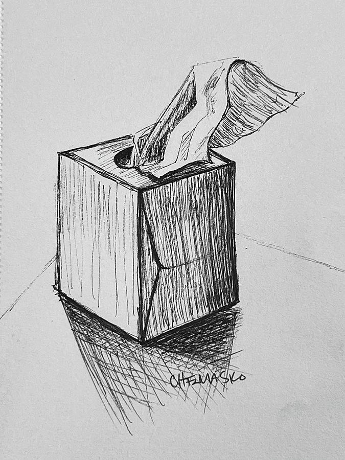 Pen Drawing - Box of Tissues by Jenn Chemasko