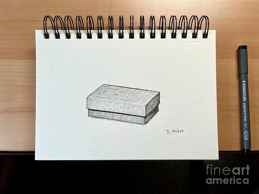 Box Sketch Practice  Drawing by Donna Mibus