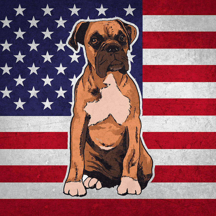 Boxer Dog - Breed Dog Digital Art by Crazy Squirrel - Fine Art America