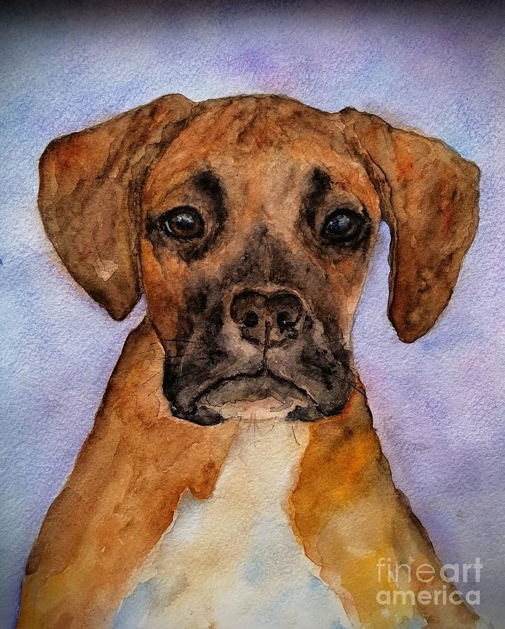 Boxer Dog Portrait Painting by Amalia Suruceanu