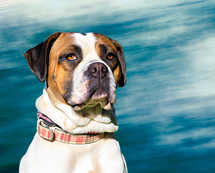 Mastiff / Boxer Dog Digital Art Photograph by Rick Deacon