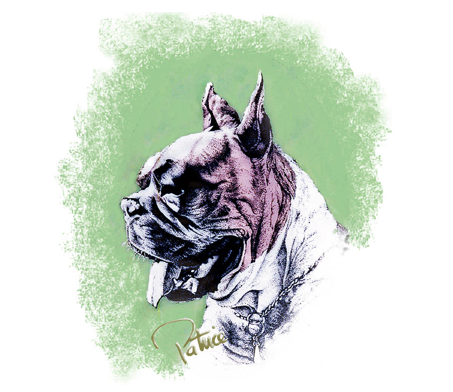 Boxer Headstudy Painting by Patrice Clarkson