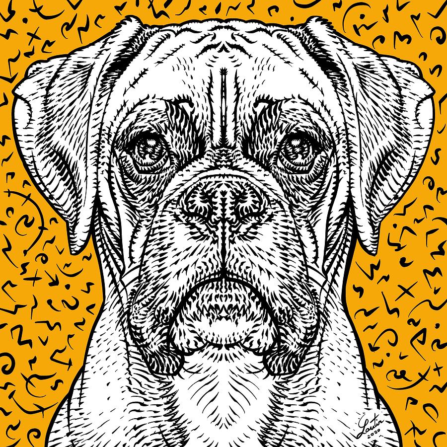 Dog Drawing - BOXER ink portrait by Fabrizio Cassetta
