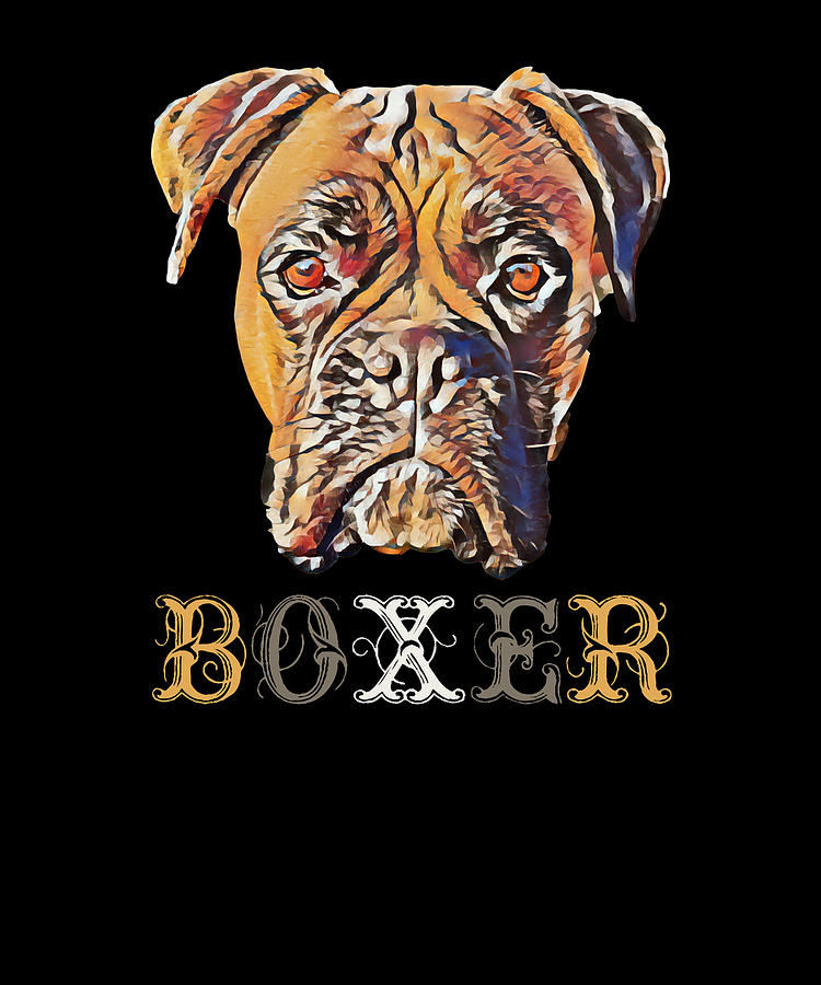 boxer puppy drawing