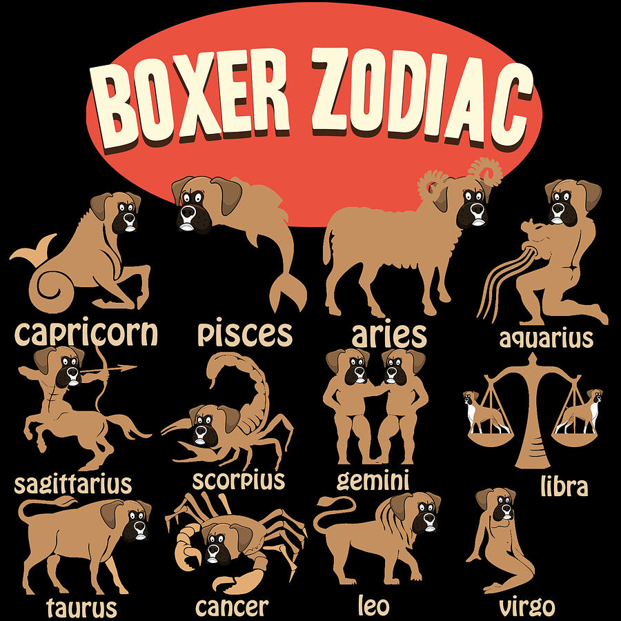 Aquarius Zodiac Boxer