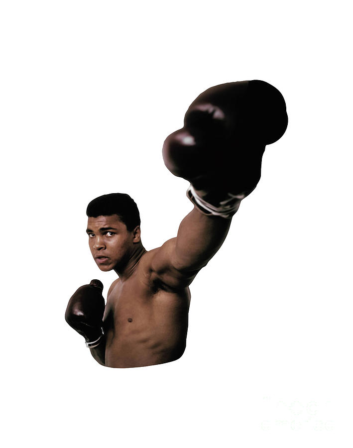 Boxing Ali Digital Art by Hartoka Tok - Fine Art America