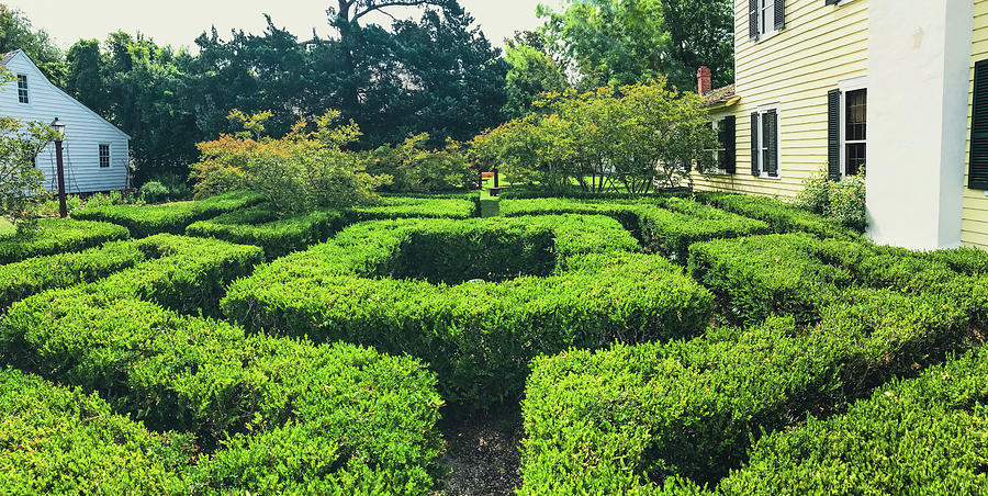 Boxwood Maze Digital Art by Matt Richardson - Pixels