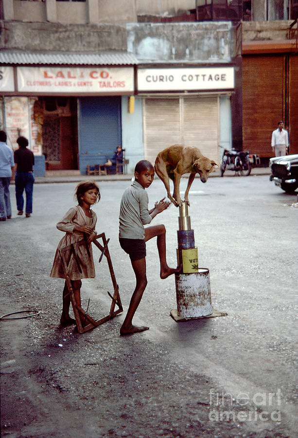 Boy and His Balancing Dog on Tin Cans in Mumbai Photograph by Wernher Krutein