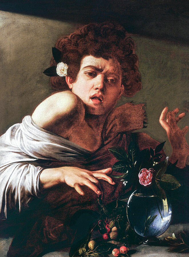 Vintage Painting - Boy Bitten by a Lizard by Caravaggio 1594 by Caravaggio