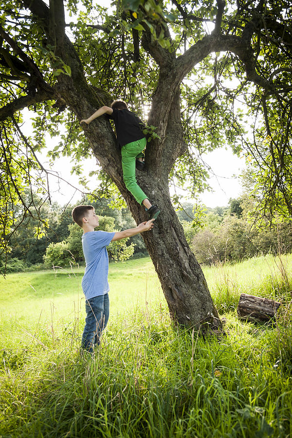 Boy helping his friend to climb down a tree Photograph by Westend61