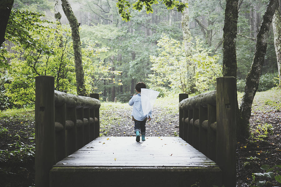 Boy holding an insect net and walking in a forest Photograph by Kohei_hara