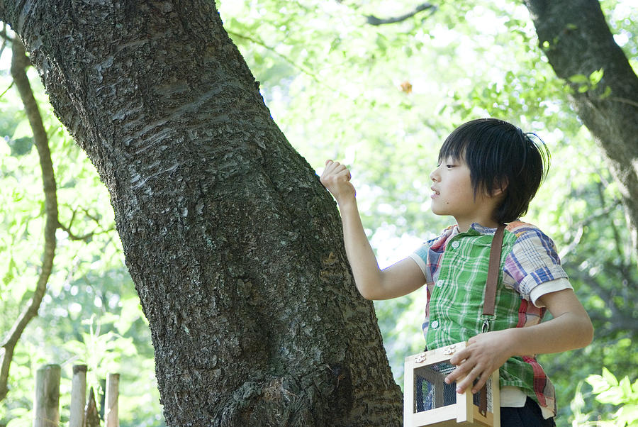Boy holding insect cage, looking at tree trunk Photograph by Absodels