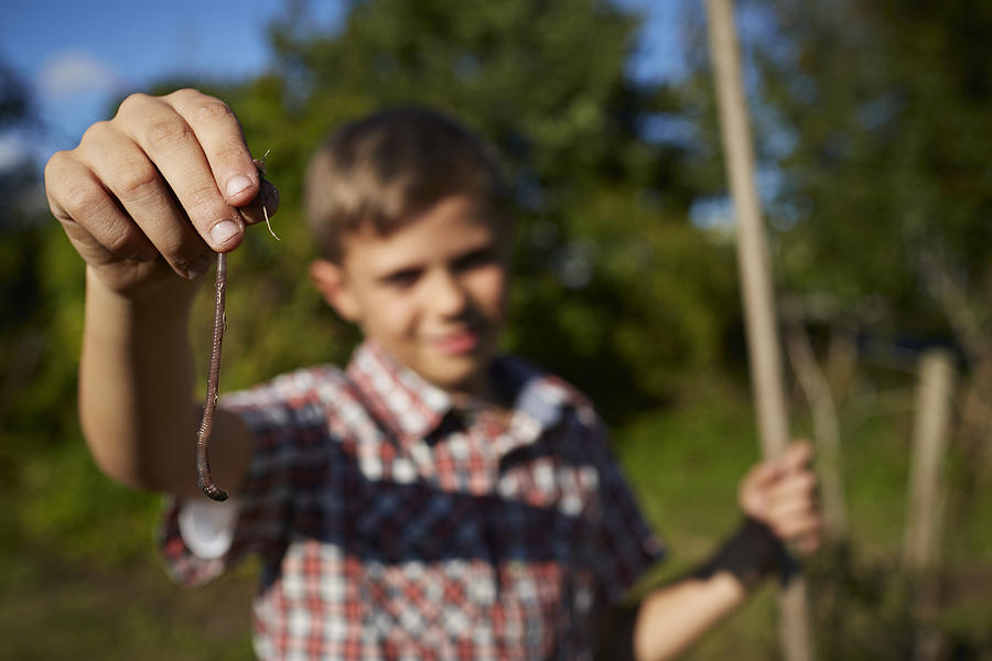 Boy holding up earthworm, worm in focus Photograph by Klaus Vedfelt