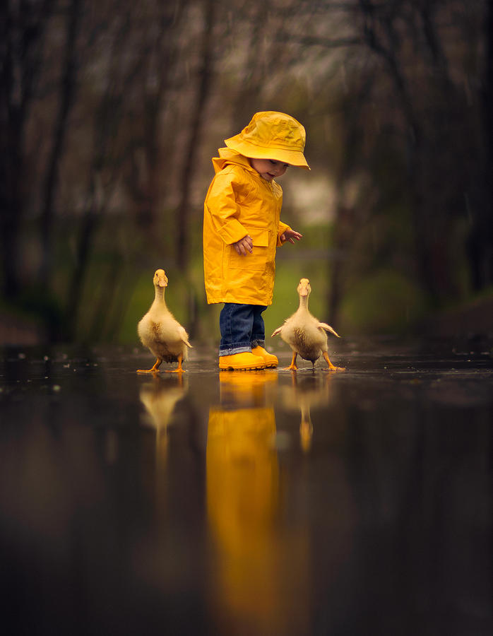 Boy in the rain with ducks Photograph by Jake Olson Studios Blair Nebraska