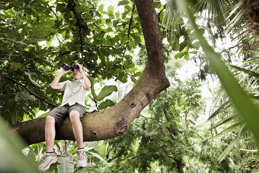 Boy In Tree Using A Pair Of Binoculars Photograph by Compassionate Eye Foundation/Noel Hendrickson
