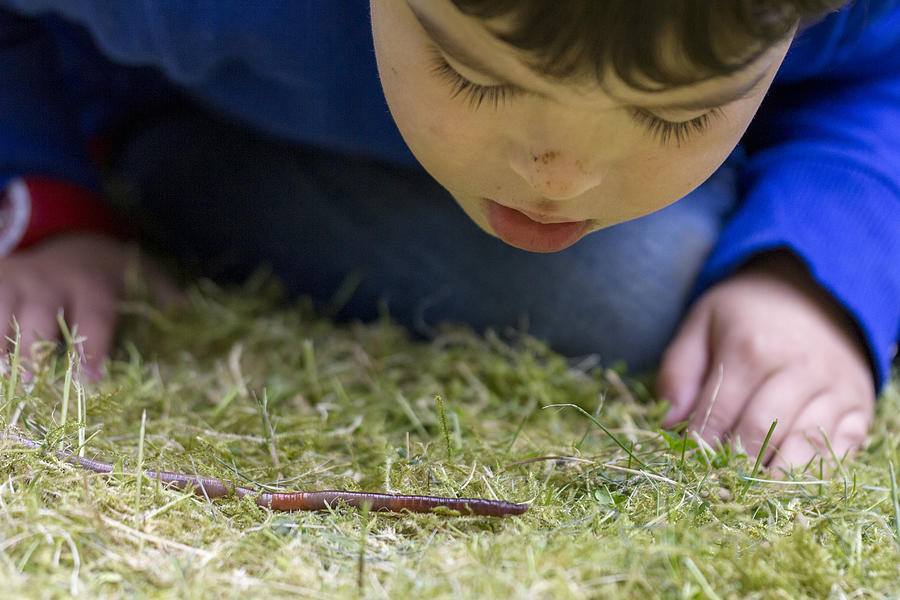 Boy looking closely at an earthworm on the ground Photograph by © Santiago Urquijo