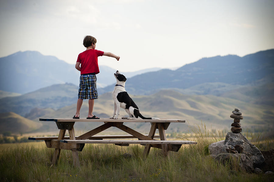 Boy On Picnic Table Training His Dog Photograph by Stephen Simpson
