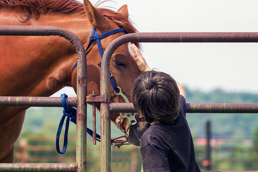 Boy Petting Horse Photograph by Malcolm MacGregor