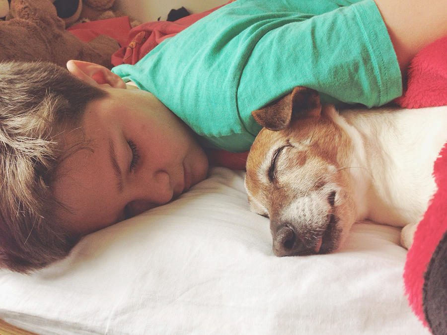 Boy sleeping with dog Photograph by Gollykim