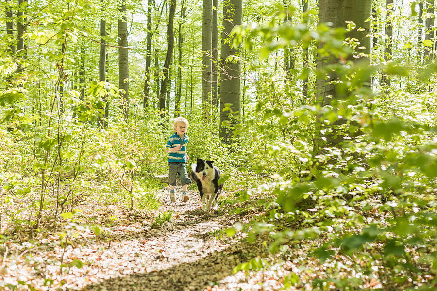 Boy walking with dog in forest Photograph by jackSTAR