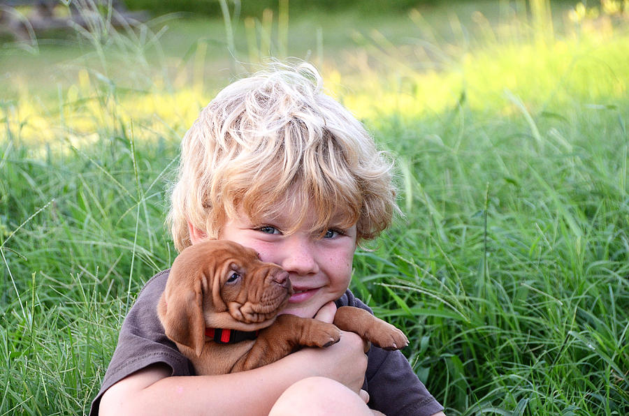 Boy with wrinkled Vizsla puppy Photograph by Jessica Lynn Culver