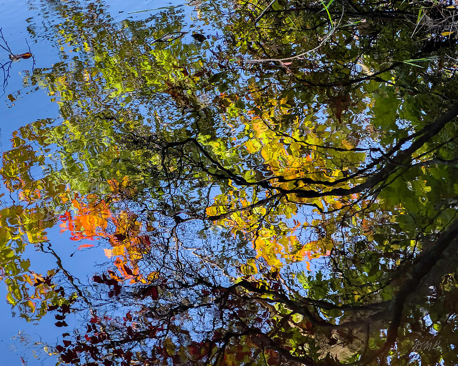 Boyden XV Autumn Reflection Color Photograph by David Gordon