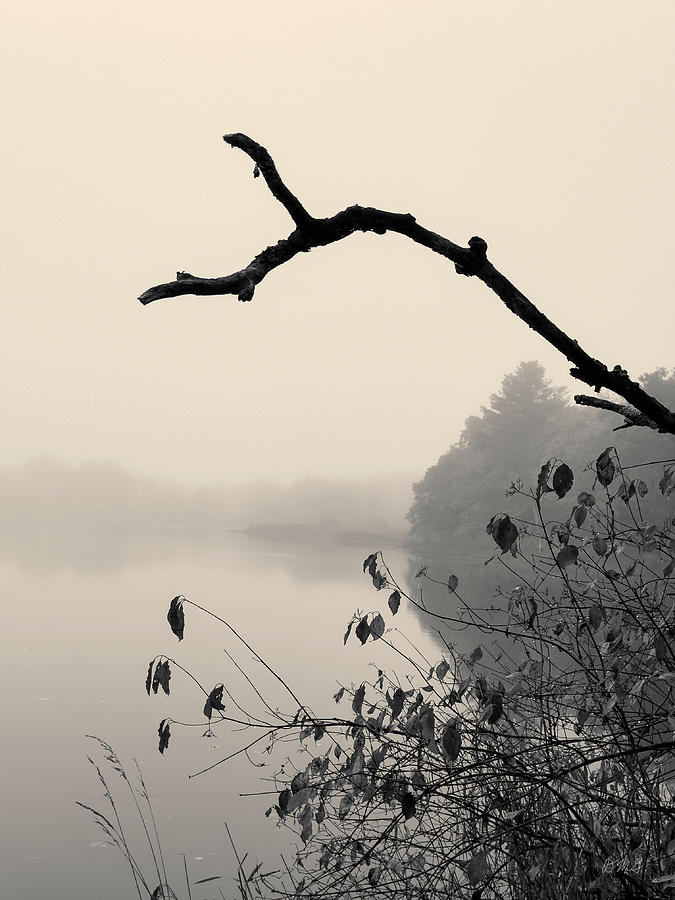 Landscape Photograph - Boyden XVIII Toned by David Gordon