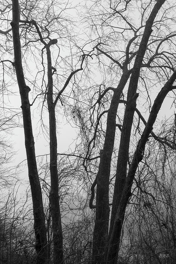 Black And White Photograph - Boyden XXIX BW by David Gordon