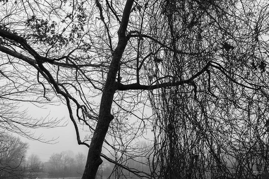 Black And White Photograph - Boyden XXVIII by David Gordon