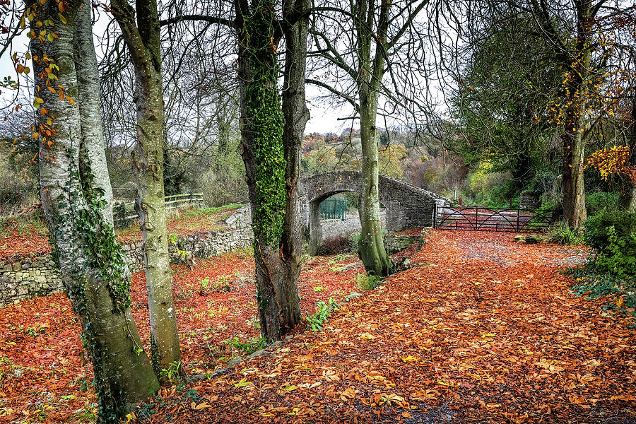 Autumn Colours Ireland #1 Photograph by Sublime Ireland