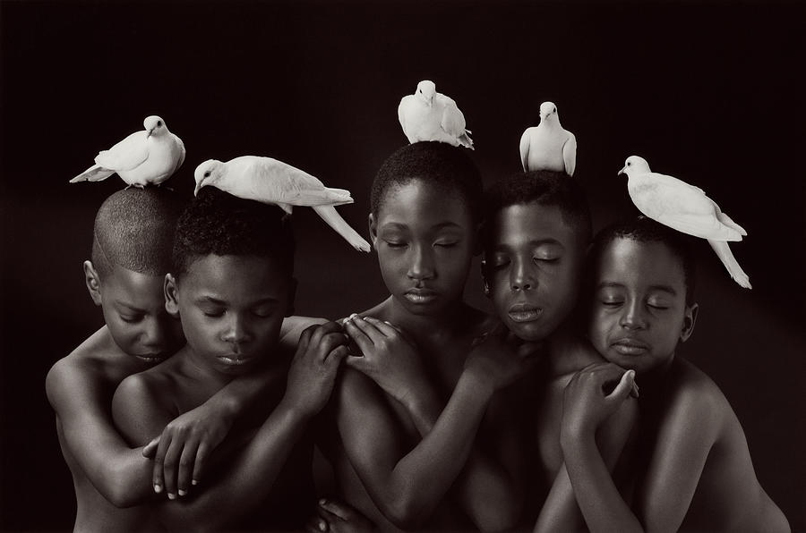 Black & White Photograph - Boys and Doves by Anne Geddes
