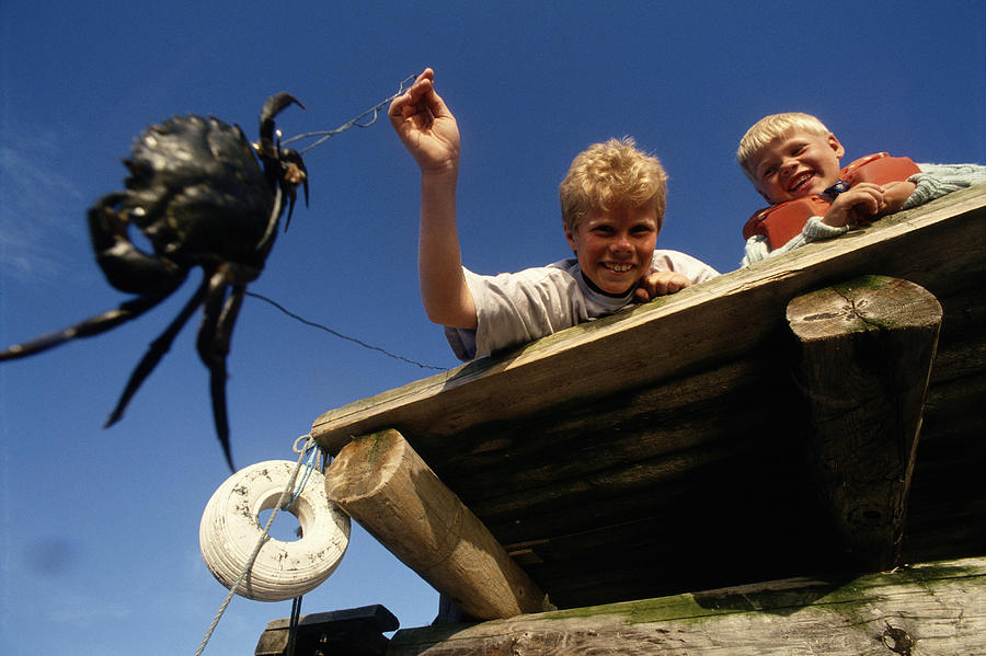 Boys Crab Fishing In Norway Photograph by Terje Rakke