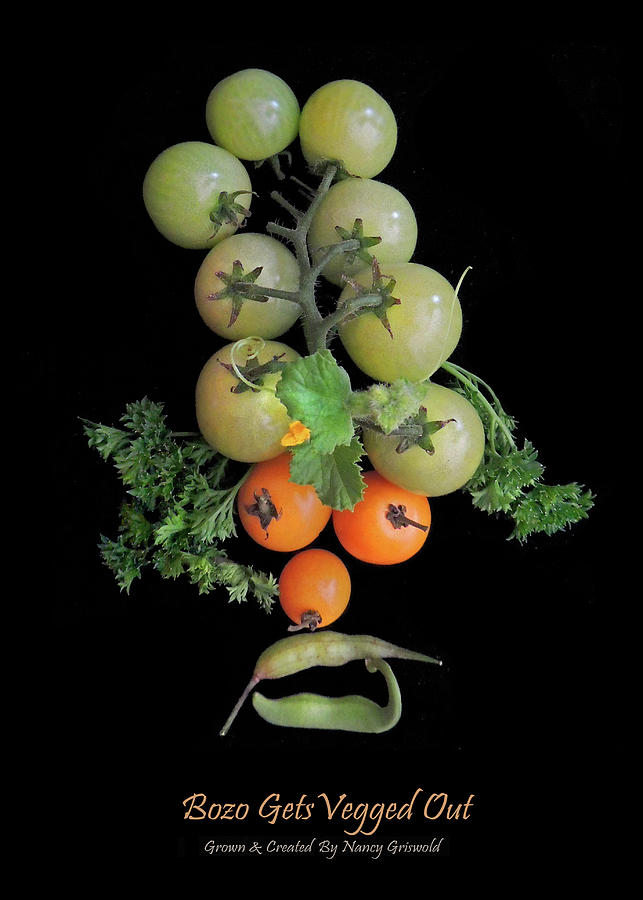Bozo Gets Vegged Out Vegetable Art Photograph by Nancy Griswold