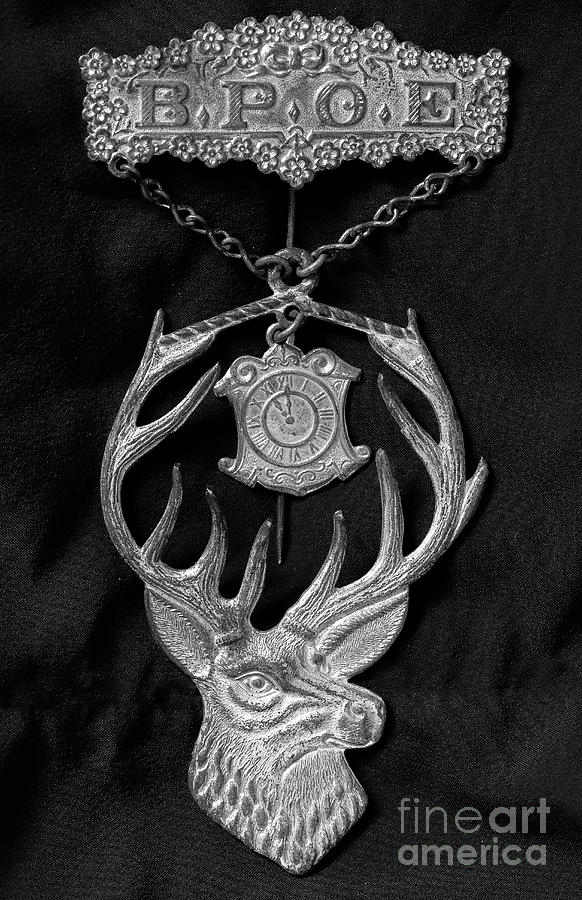 Bpoe Order Of Elks Medal Photograph