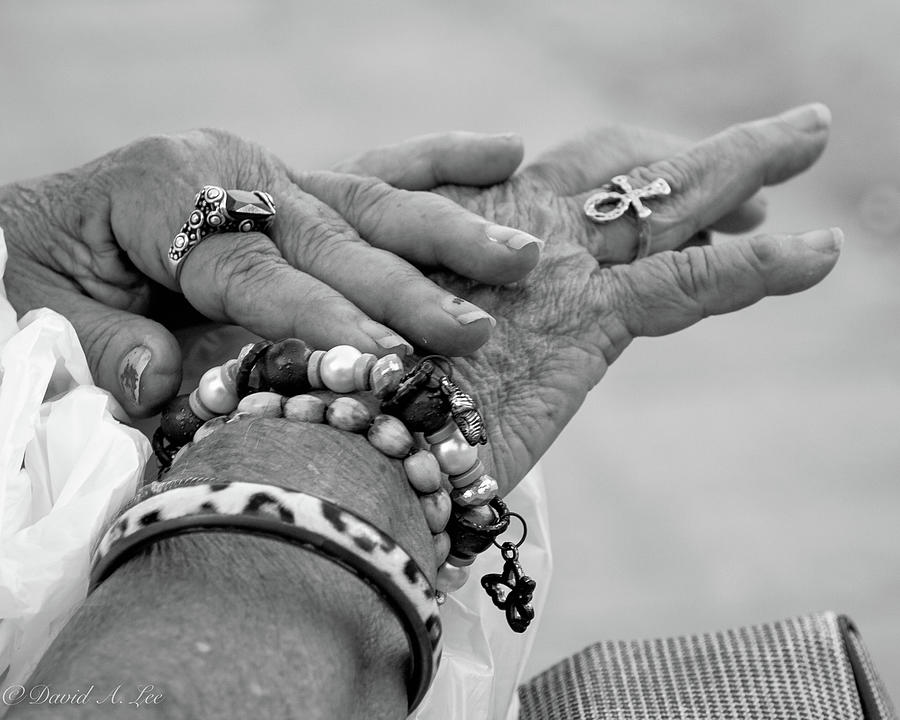 Bracelets Photograph by David Lee