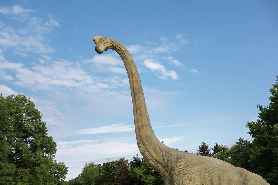 Brachiosaurus Realistic Model. Head Close Of Dinosaur Photograph
