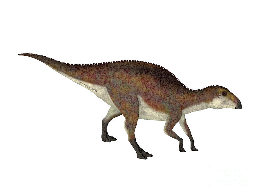 Brachylophosaurus Juvenile Walking Digital Art