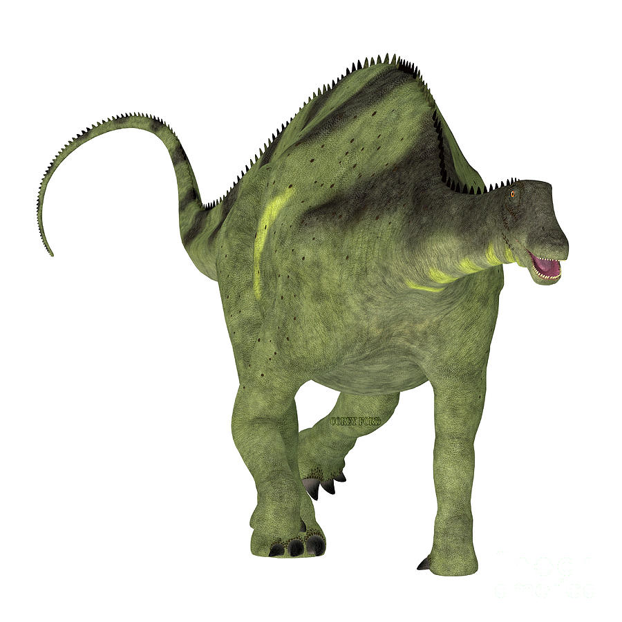 Brachytrachelopan Dinosaur on White Digital Art by Corey Ford